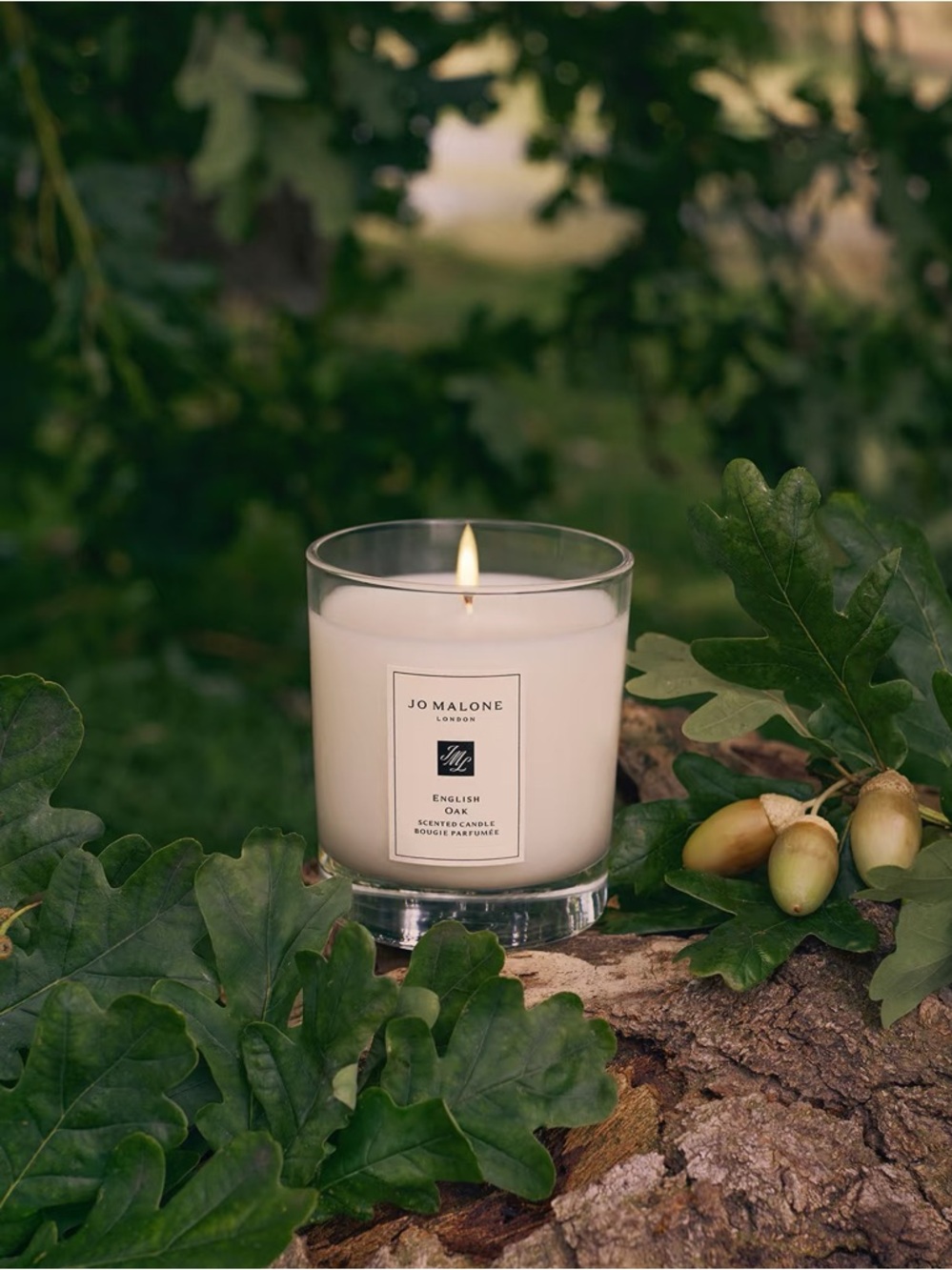 Jo Malone English Oak Scented Candle 200g New Best home gift GWP